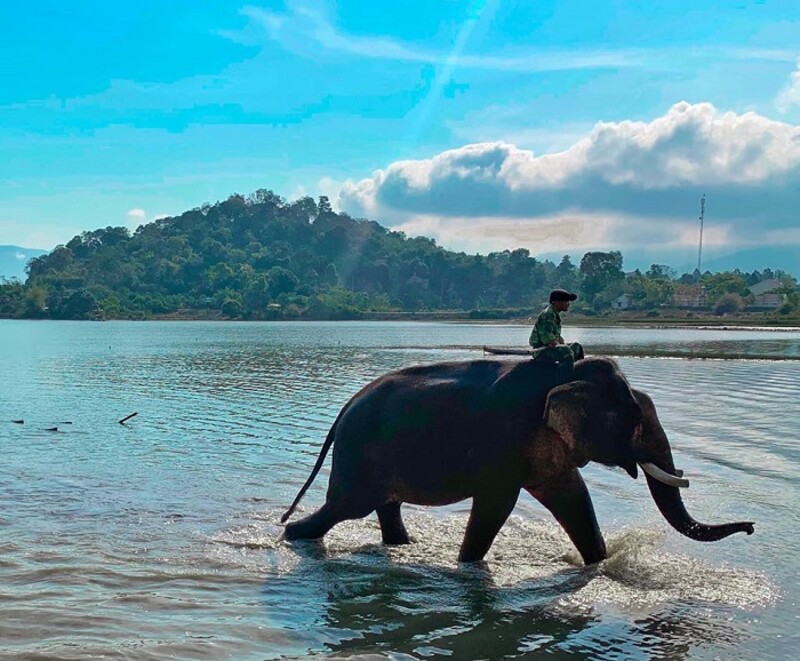 Elephant riding activity at Lak Lake