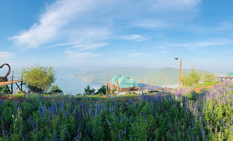 In the morning at the homestay you can see clouds! Depending on the time, the sea of clouds will be different.