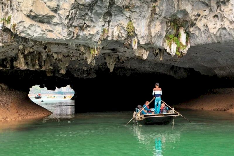 cave in cat ba