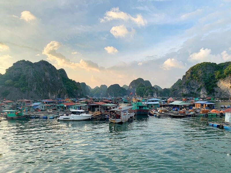  floating villages in Cat Ba