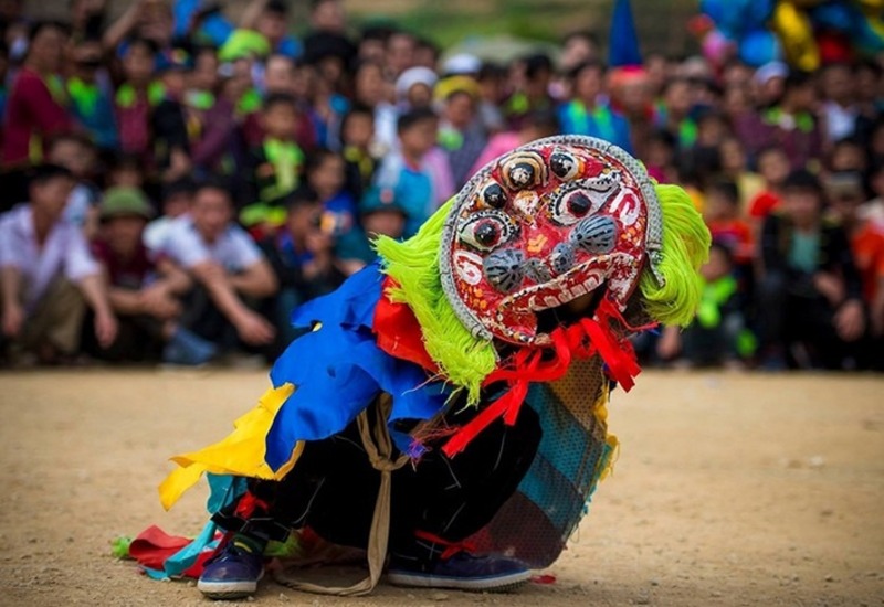 Lang Son Cat Lion looks wild and ghostly