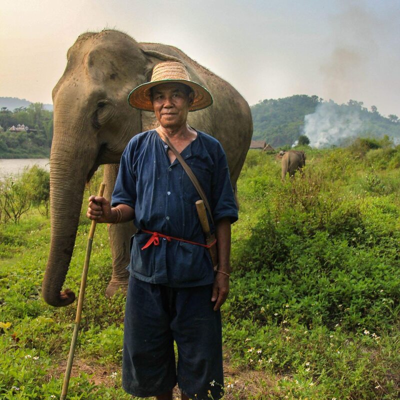 Elephant trekking is a major activity in MandaLao.