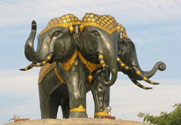 Three-head elephant in Laos