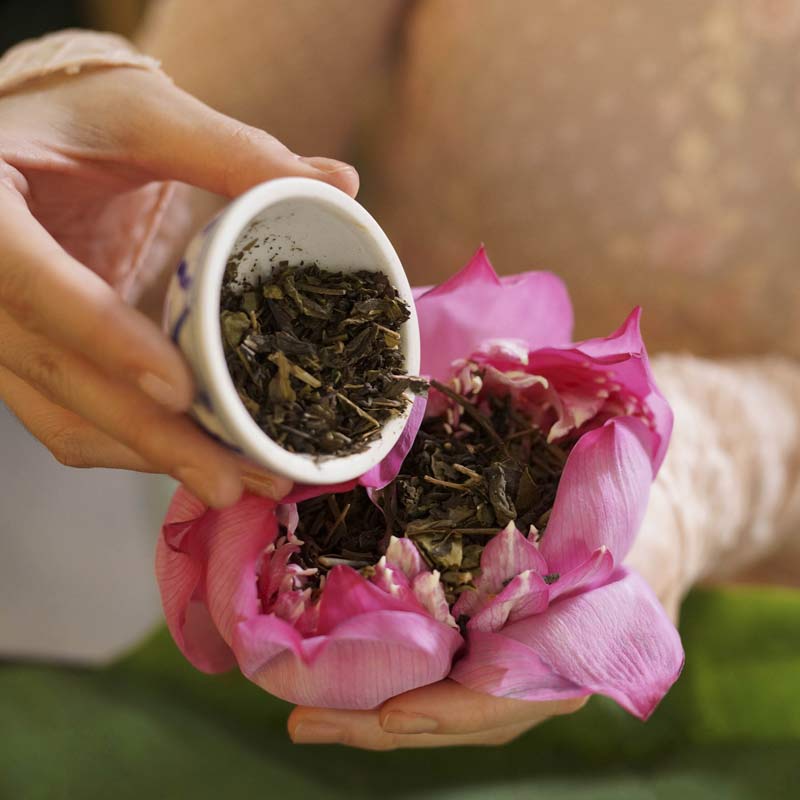 lotus tea in vietnam