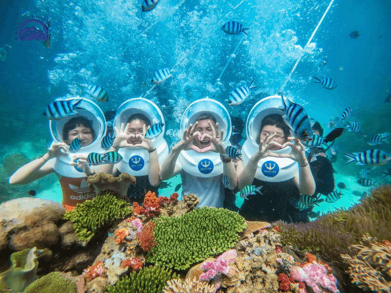 cu lao cham diving