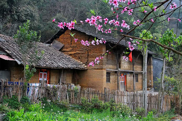 tradicional house vietnam