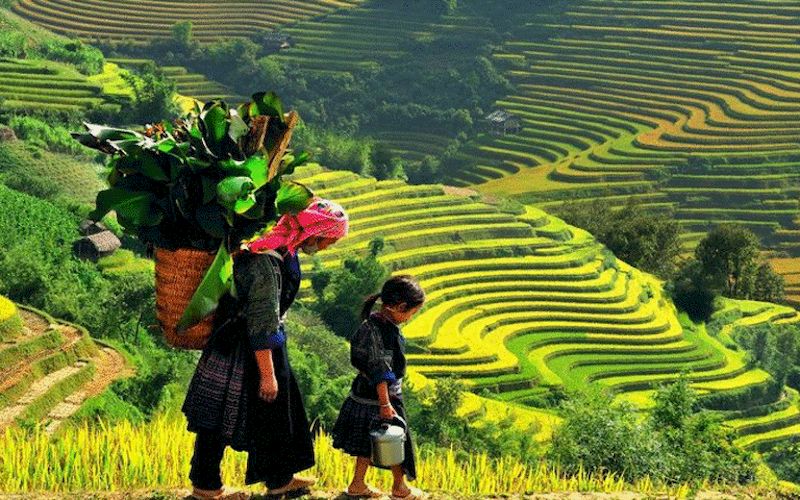 The stunning rice terraces in the mountains of northern Vietnam