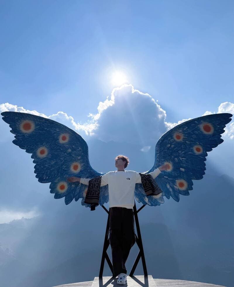 Giant Angel Wings