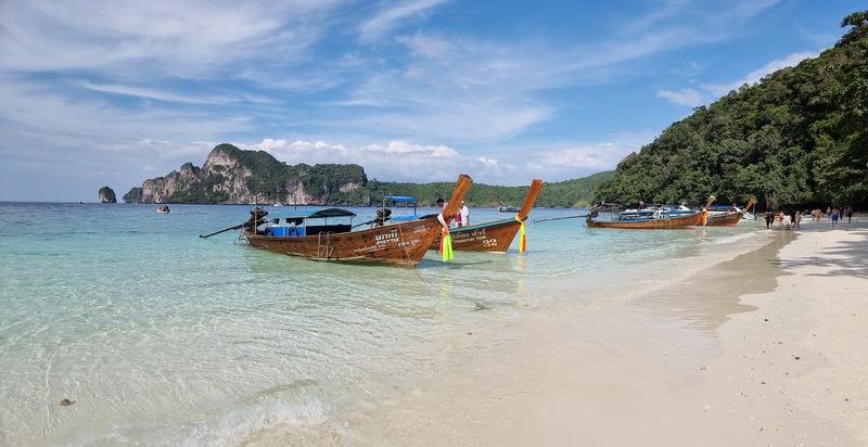 monkey in koh phi phi