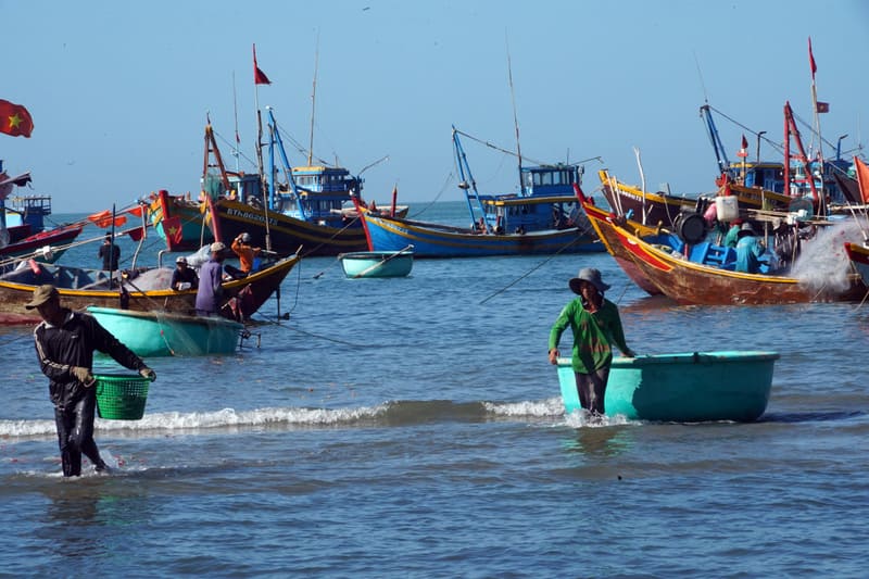 The daily life of the fishermen, image taken by our traveller.