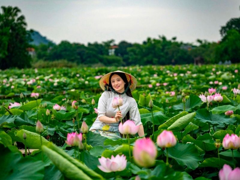 Ninh Binh Lotus Garden