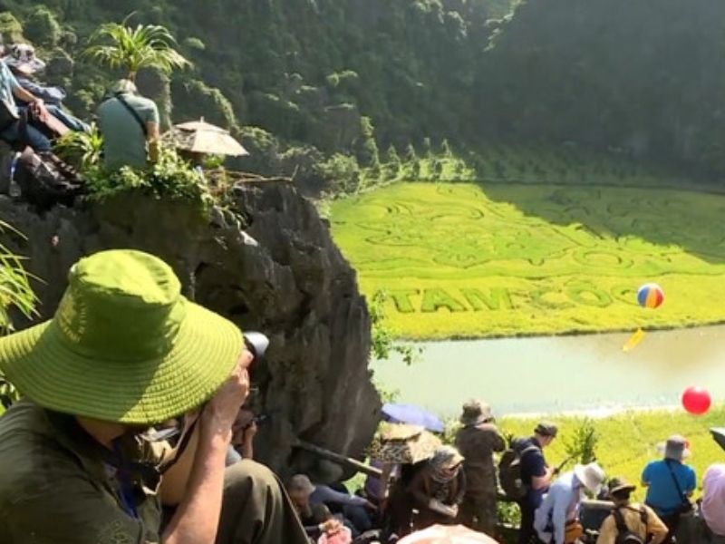Rice Season Photography Tour in Tam Coc