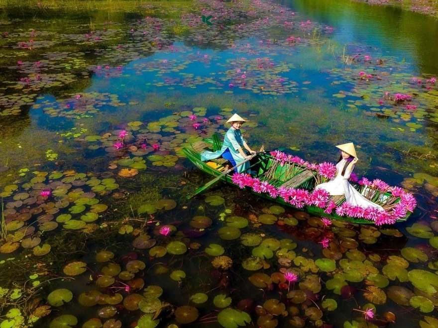 September is the season when water lilies are in full bloom.