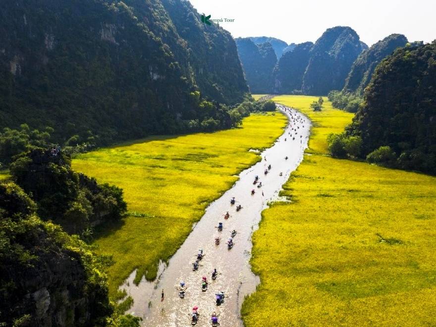 The golden rice season in Tam Coc also falls in September.