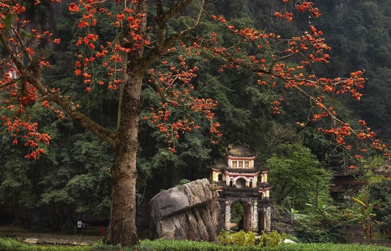 Bich Dong Pagoda in Ninh Binh