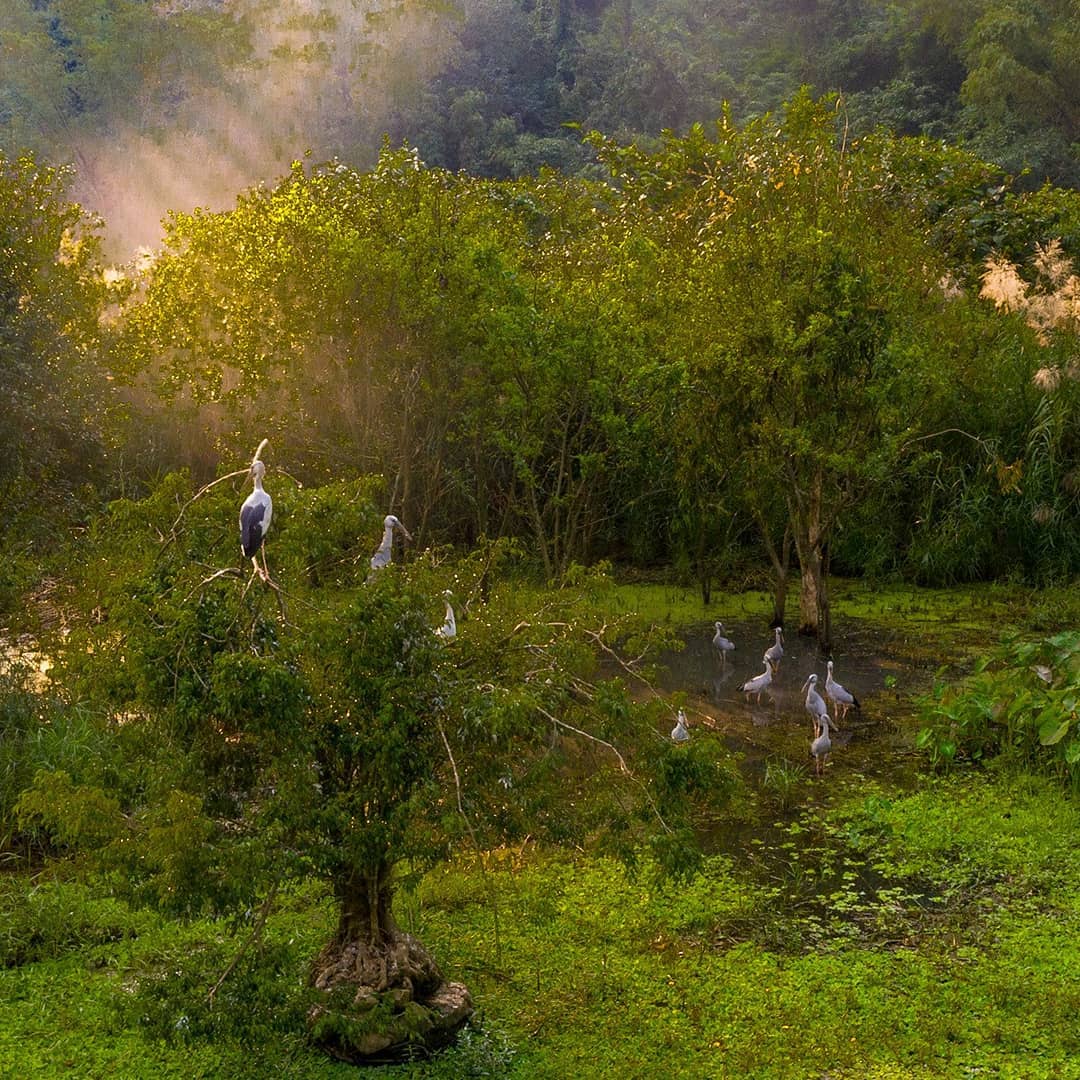 Thung Nham Bird Park