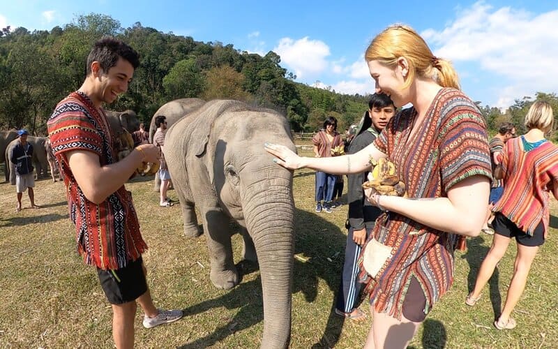 santuario de elefante en chiang mai