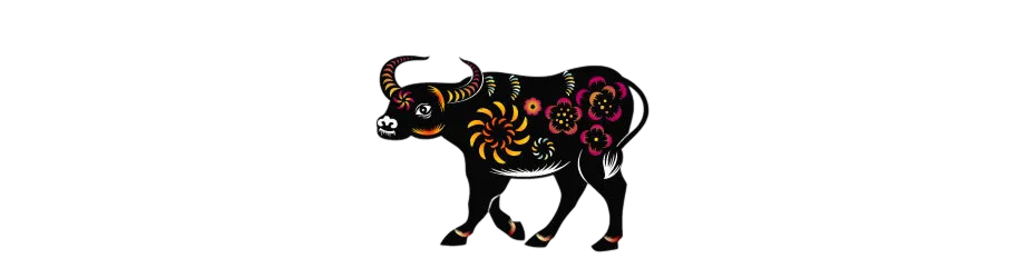 The Ox in the 12 Vietnamese Zodiac Signs