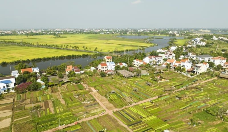 panorama de tra que
