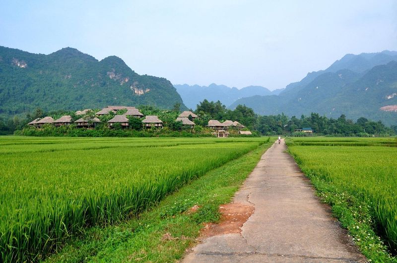 mai chau