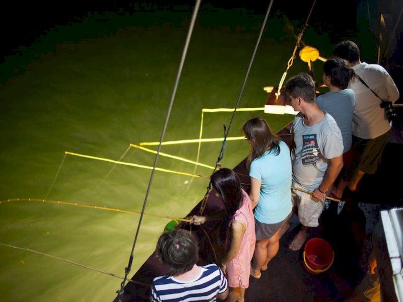 pesca noturno en bahia halong