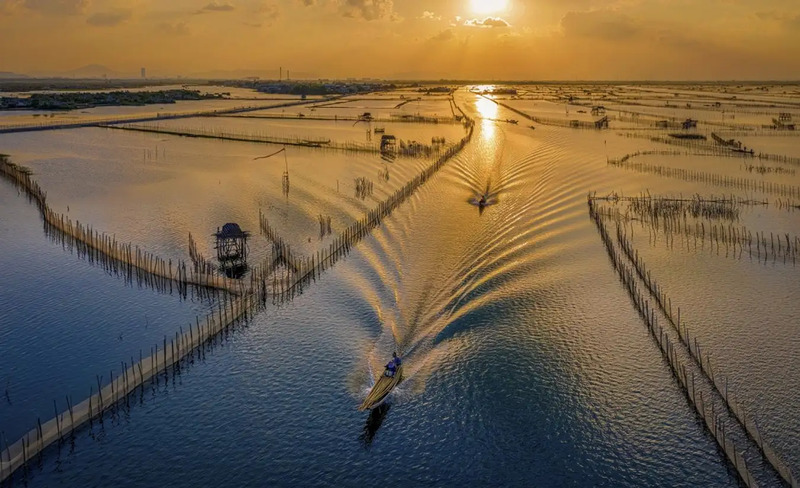 Discover the Tam Giang Lagoon