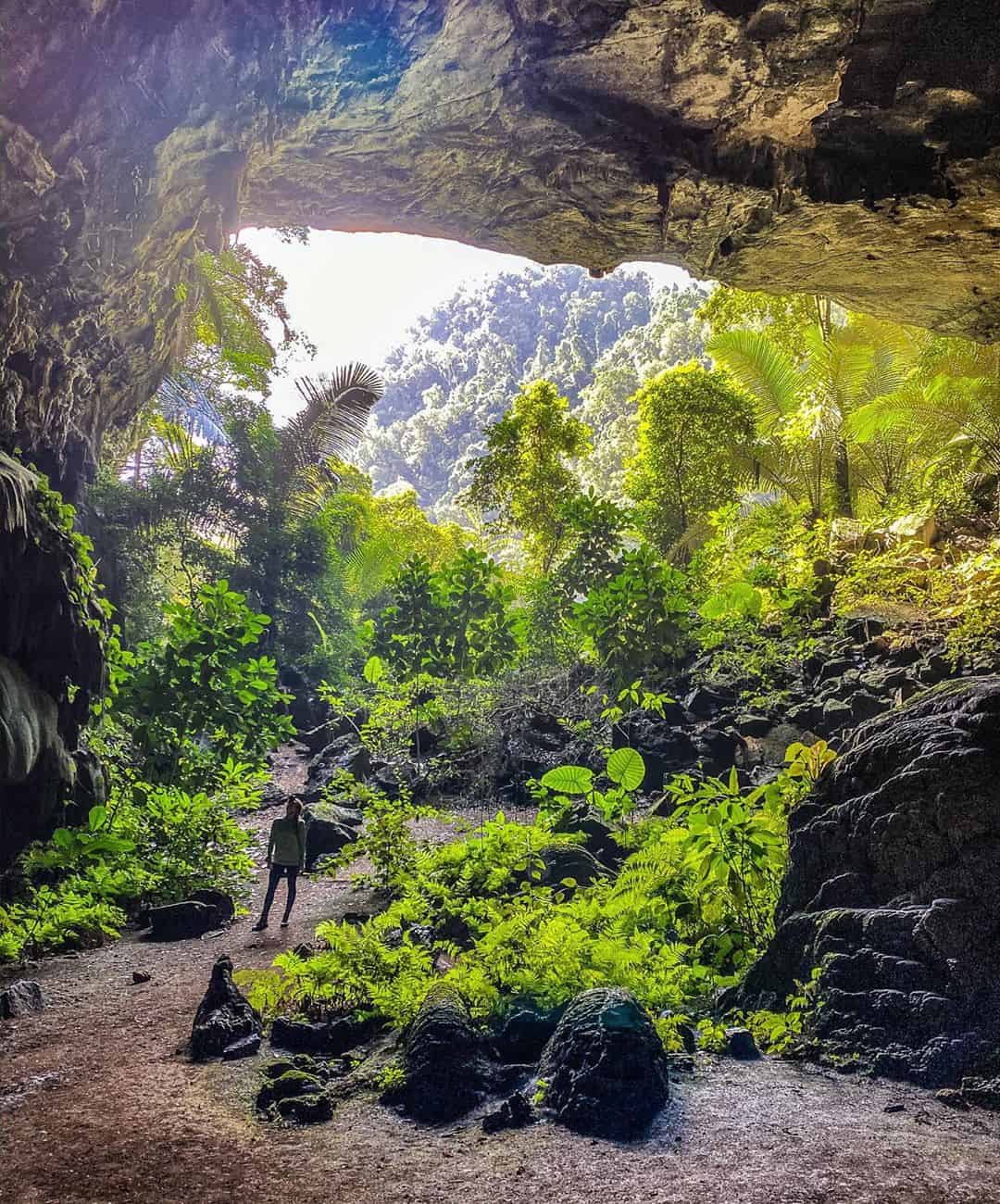 Phong Nha Ke Bang clima