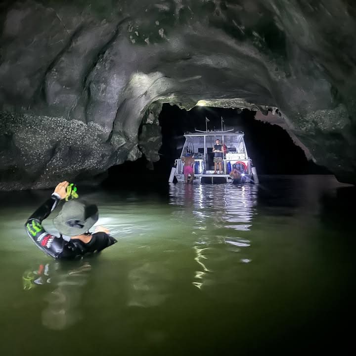 go farther from shore so you can see plankton better