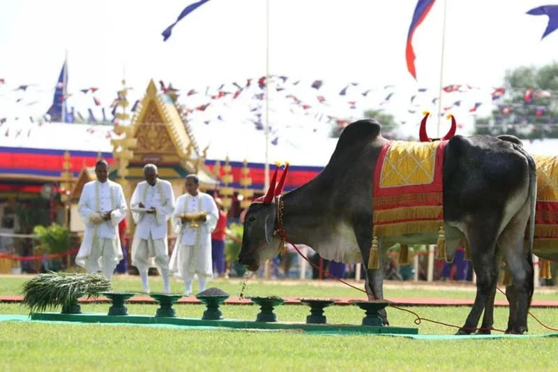 cambodia festivals