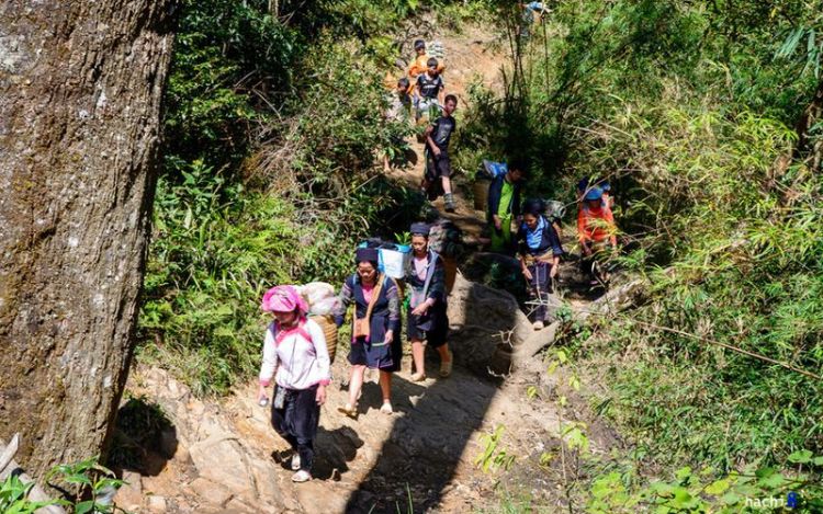 propinas en vietnam para porteadores