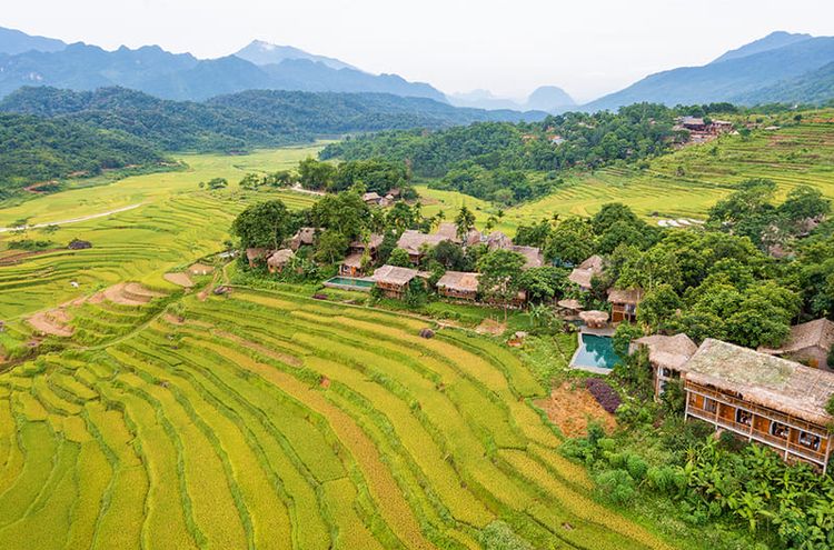 pu luong en arrozales