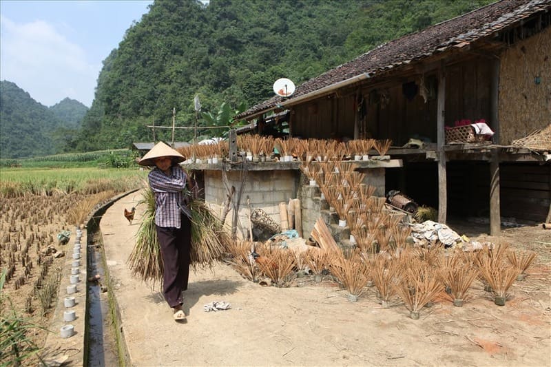 pueblo tradicional de incienso en cao bang