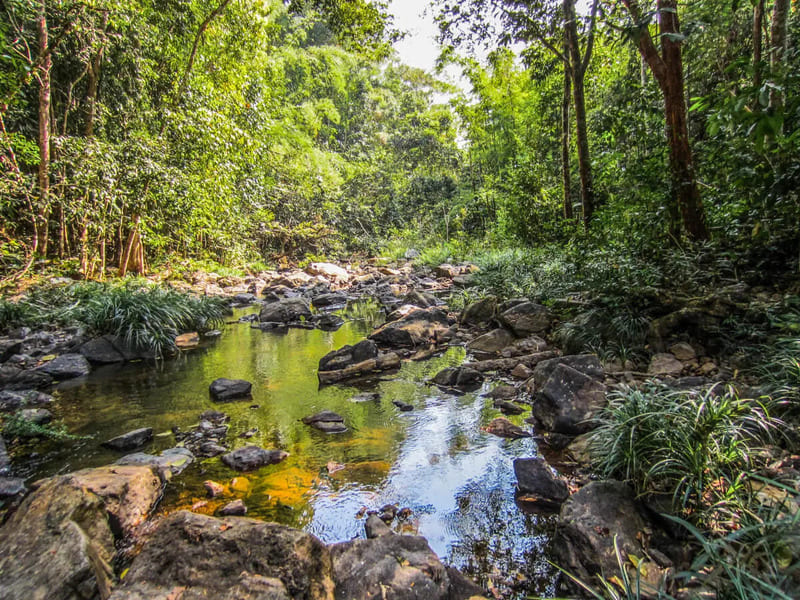 parque nacional virachey en ratanakiri