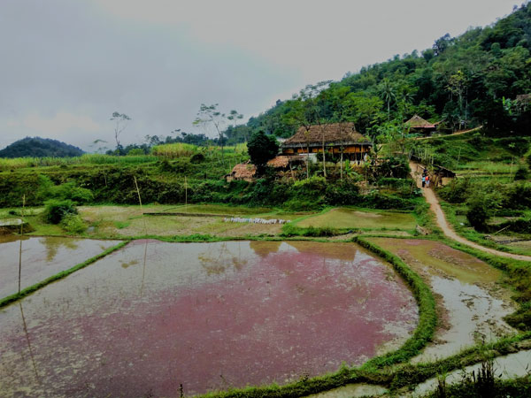 pueblo etnico en pu luong