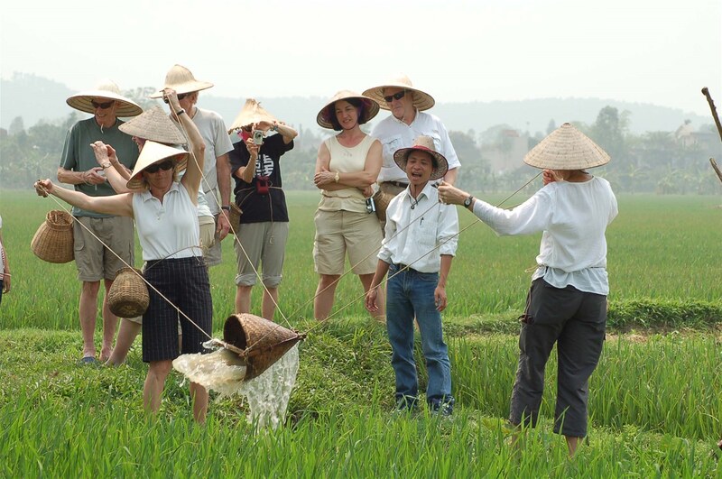 Tourists experience rice planting in Cao Bang