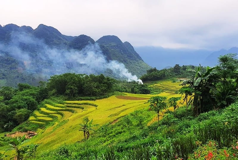 Rice fields and palm trees at Pu Luong Nature Reserve