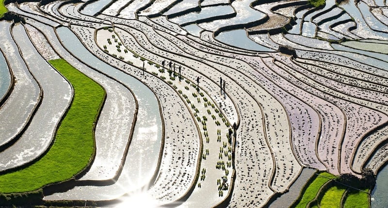 Rice terraces during the turbulent water season