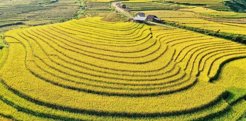 Late August early September - one of the best times to see the rice terraces