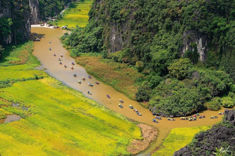 rio ngo dong tam coc