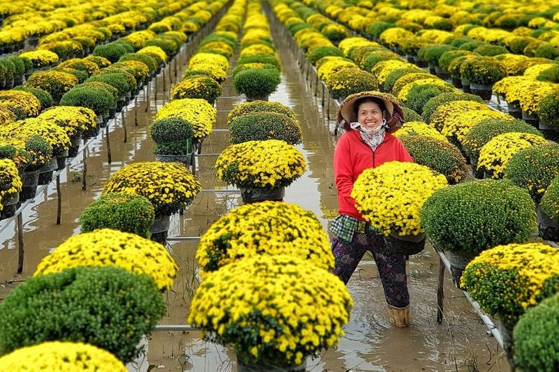 jardin de flor en sadec delta del mekong