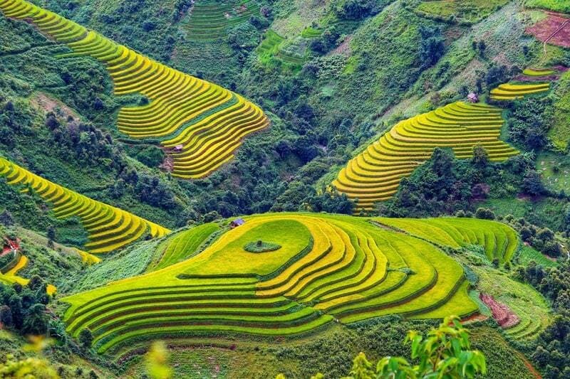 panorama de arrozales en sapa