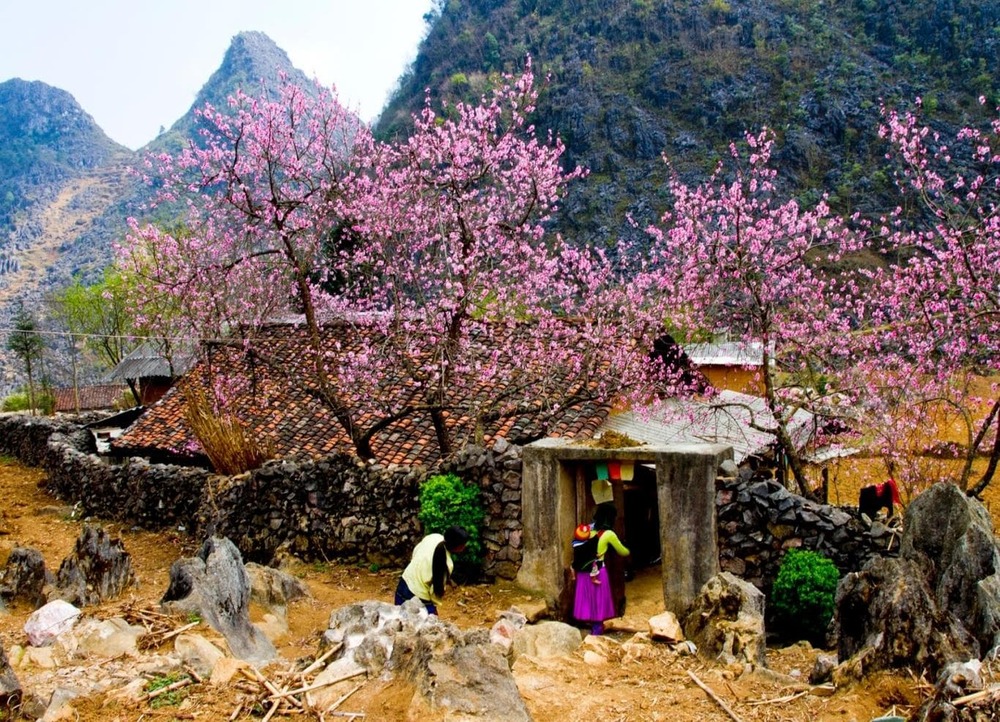 Trek Through Ethnic Villages in sapa in december