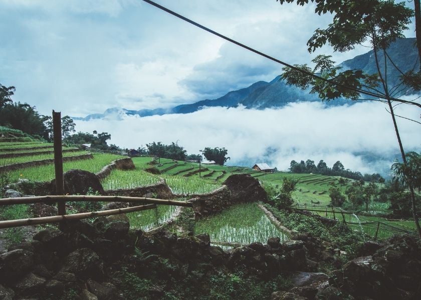 Sapa in the early days of the green rice season.