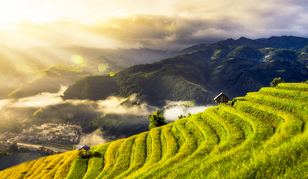 sapa greenary in june