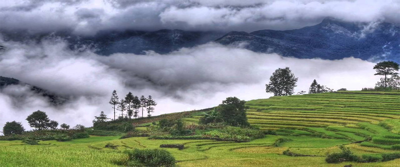 sapa in the rain