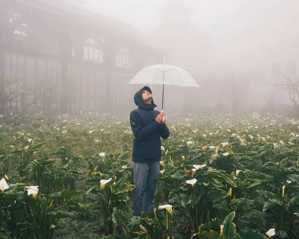 rain in july in sapa