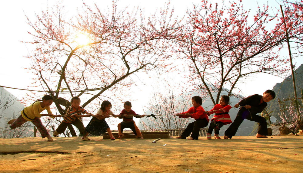 sapa in april children playing tug of war