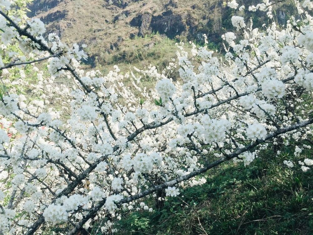 sapa ethnic villages