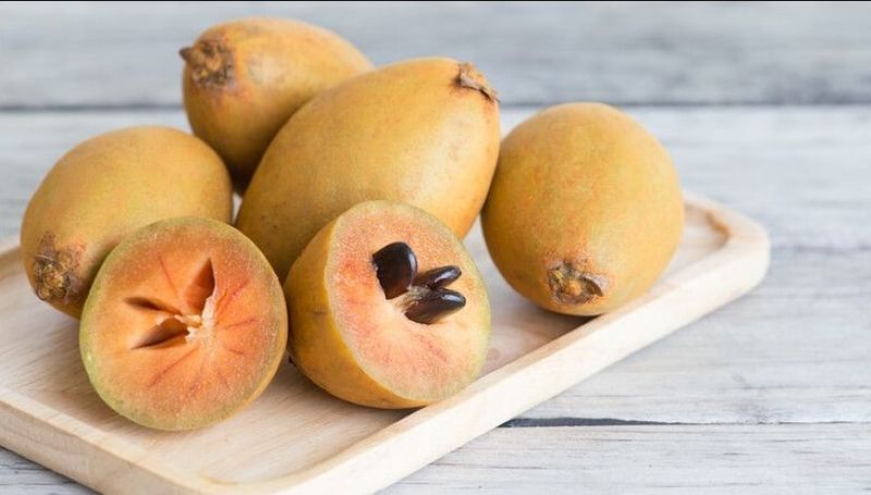 sapodilla