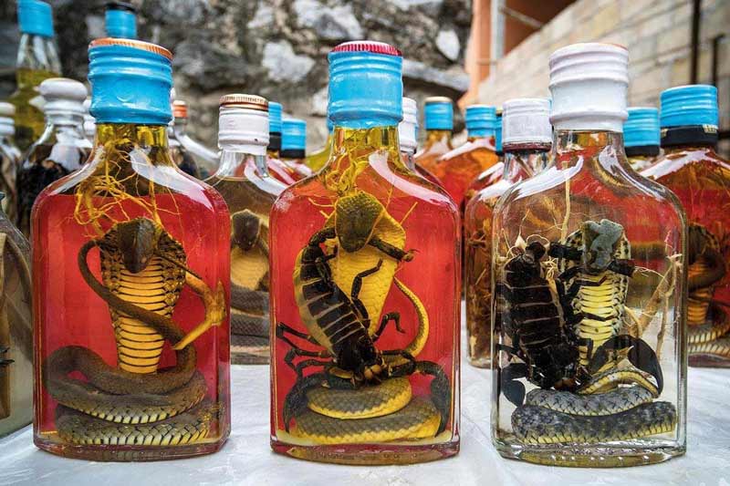 snake wine